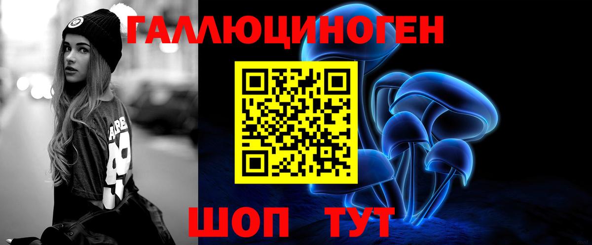 Псилоцибиновые грибы Psilocybe  Вход с VPN  Петропавловск-Камчатский  Галлюциногенные грибы мухоморы 